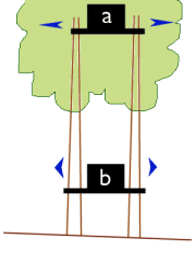 A treehouse will move more the higher it is in the tree