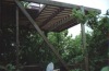 Deck above the main treehouse