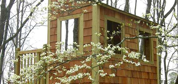 Kauri treehouse