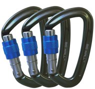 Screwgate carabiner