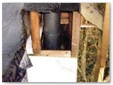 Chimney from treehouse fireplace