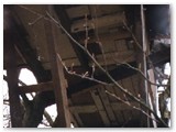 Old extension supports