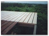View over the forest canopy
